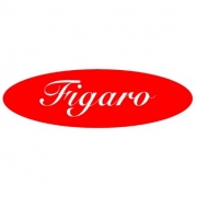 (c) Figaro-eg.de